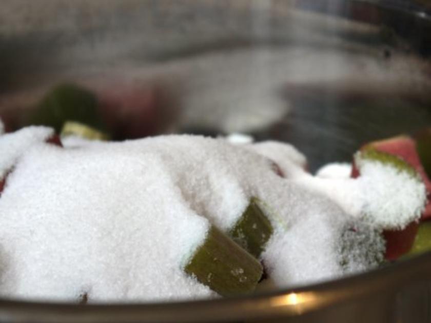 Rhabarber-Orangen-Sirup - Rezept mit Bild - kochbar.de