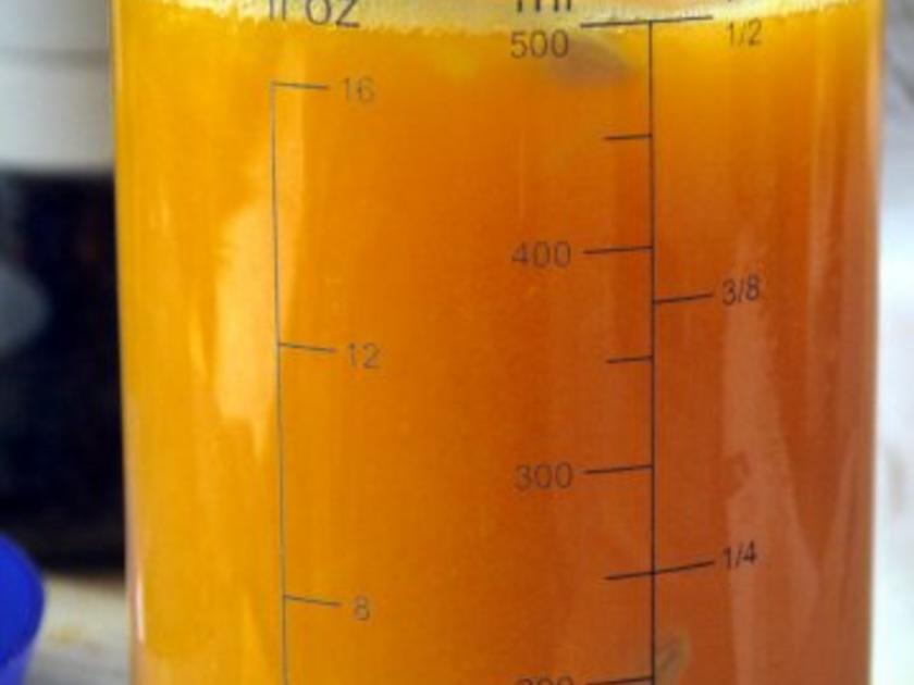 Rhabarber-Orangen-Sirup - Rezept mit Bild - kochbar.de