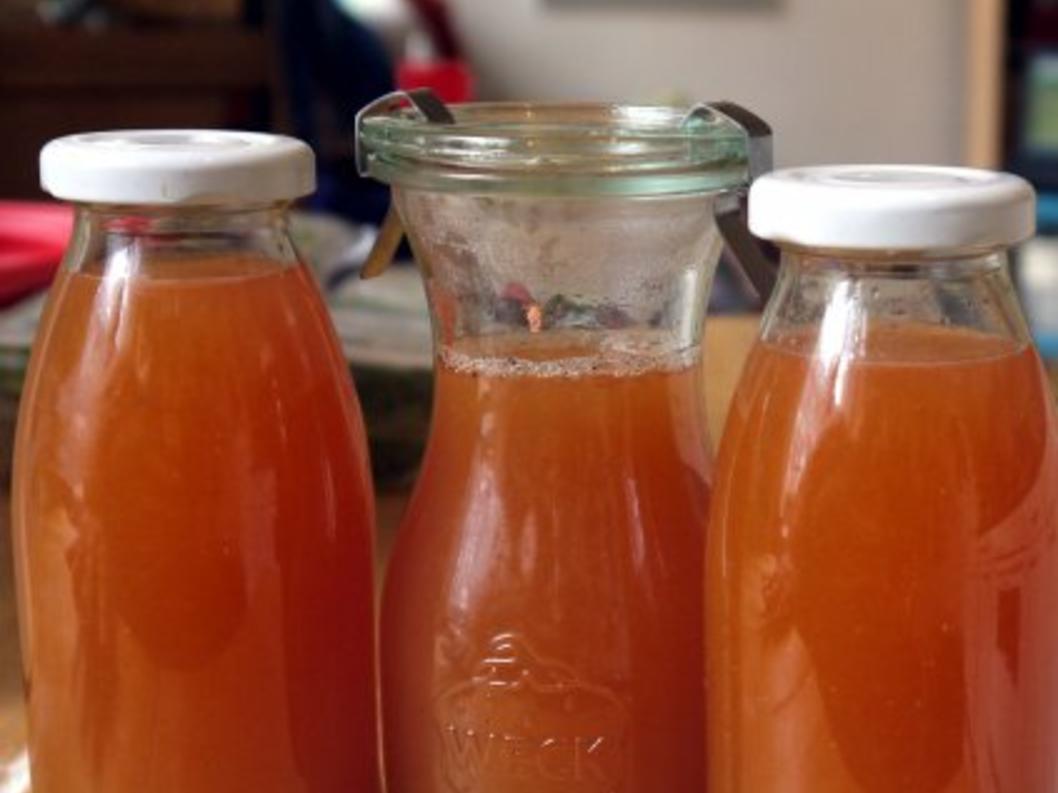 Rhabarber-Orangen-Sirup - Rezept mit Bild - kochbar.de