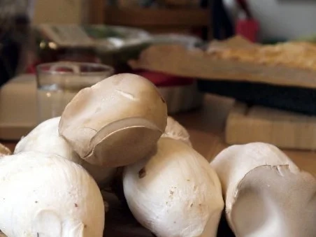 Lachsforelle in Kürbiskernkruste, Tagliatelle, Riesling-Dill-Schaum, Kräuterseitlinge - Rezept - Bild Nr. 4