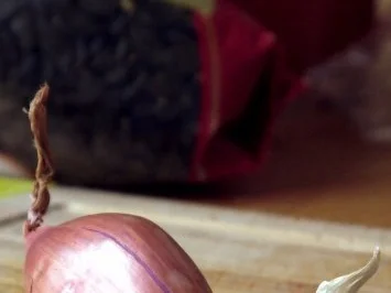 Lachsforelle in Kürbiskernkruste, Tagliatelle, Riesling-Dill-Schaum, Kräuterseitlinge - Rezept - Bild Nr. 6