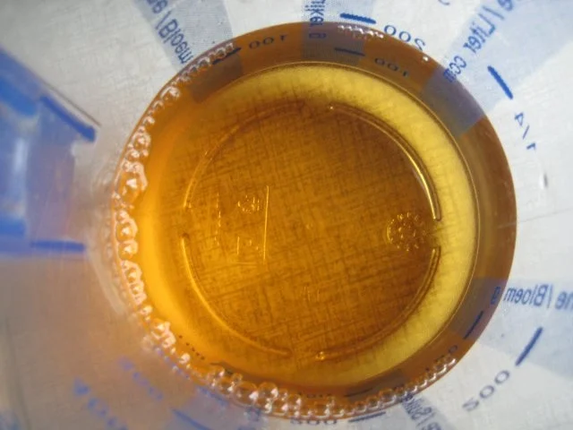 Whisky - Schokolade - Würfel - Rezept - Bild Nr. 4