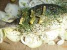 Dorade im Zwiebelbett - Rezept