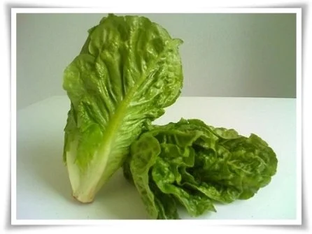 Ein schmackhaftes Gericht -  für jeden Geschmack etwas dabei. - Rezept - Bild Nr. 13