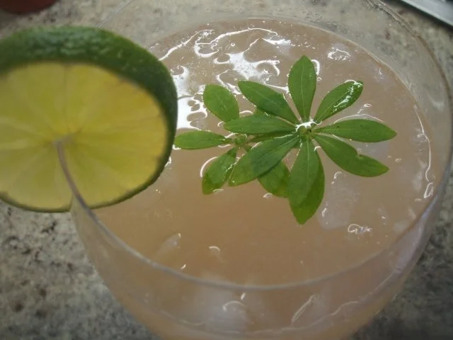 Getränke: Rudi - Rezept