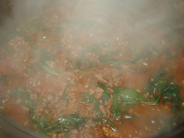 Junger Spinat mit Hackfleisch - Rezept - Bild Nr. 8