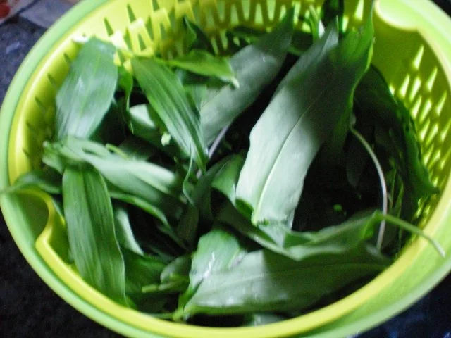 Bärlauchbutter - Bärlauchbrotaufstrich - Bärlauchpesto - Rezept - Bild Nr. 3