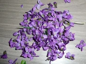 Veilchen - Gelee - Rezept - Bild Nr. 2