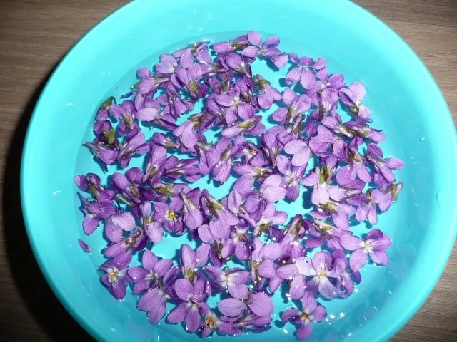 Veilchen - Gelee - Rezept - Bild Nr. 3