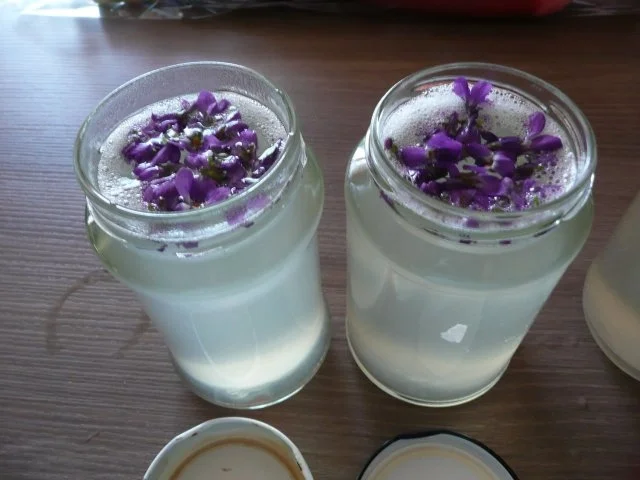 Veilchen - Gelee - Rezept - Bild Nr. 5