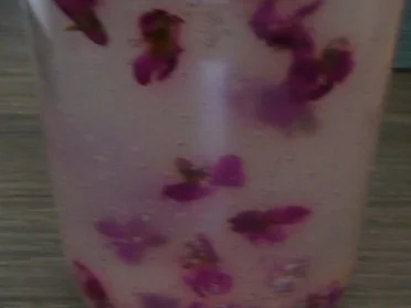 Veilchen - Gelee - Rezept - Bild Nr. 6