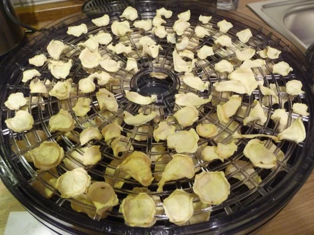 Rezept: Meine Gewürzmischungen : Petersilienwurzel - Salz - Mischung Bild Nr. 7 Meine Gewürzmischungen : Petersilienwurzel - Salz - Mischung - Rezept - Bild Nr. 7