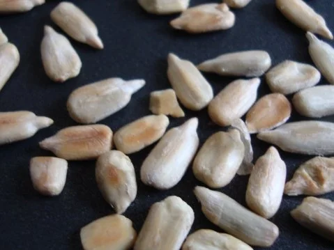 Süppchen aus Sellerie mit Süßkartoffel und 2-erlei Topping - Rezept - Bild Nr. 10