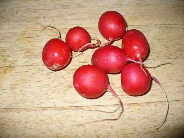 Radieschen- Rettichsalat - Rezept - Bild Nr. 2