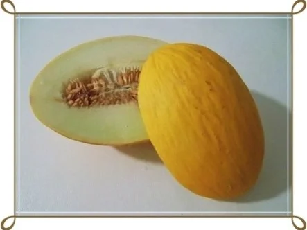 Rezept: Fruchtiger Banane-Honigmelone Smoothie Bild Nr. 4 Fruchtiger Banane-Honigmelone Smoothie - Rezept - Bild Nr. 4