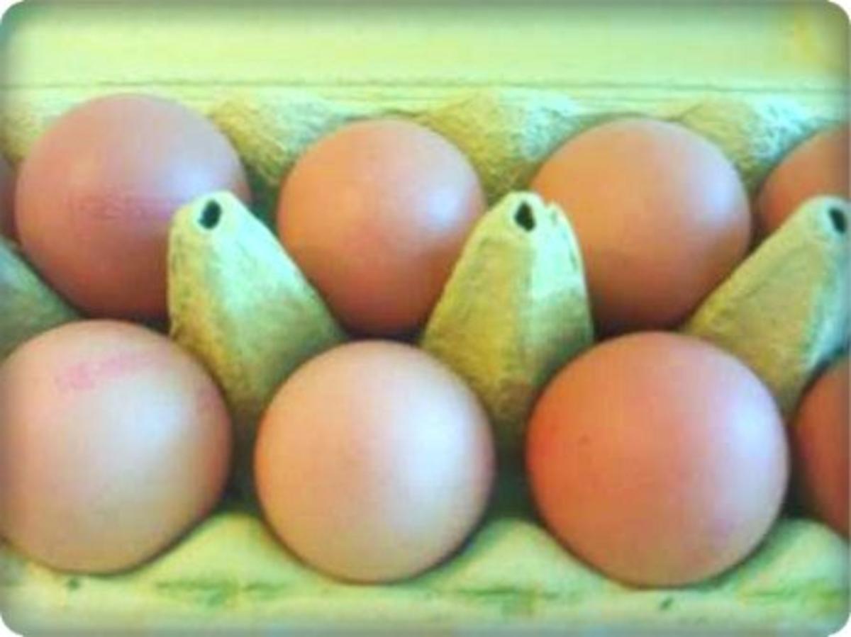 Rote Matjesfilets mit Eierscheiben - Rezept - Bild Nr. 10