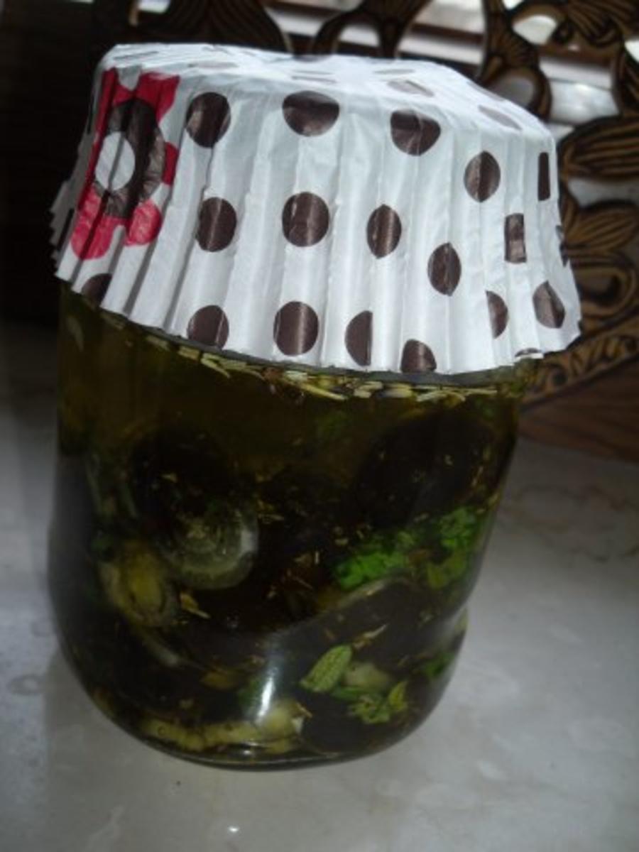 Eingelegte Oliven Rezept Mit Bild Kochbar De