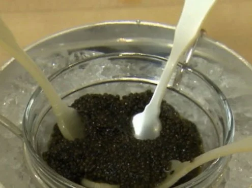 Rezept: Fingerfood mit Kaviar und Champagner (Christian Häckl) Bild Nr. 2 Fingerfood mit Kaviar und Champagner (Christian Häckl) - Rezept - Bild Nr. 2