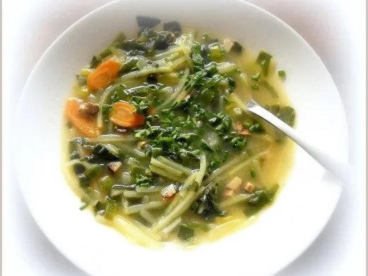 Porree - Giersch - Suppe - Rezept