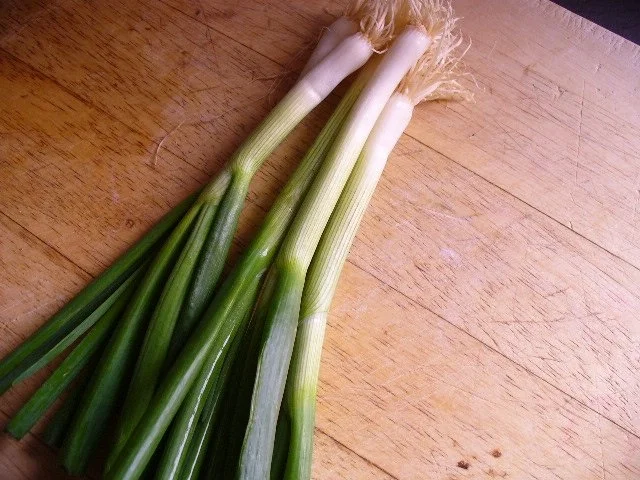 Champignonsalat auf Tomatencarpacchio - Rezept - Bild Nr. 4