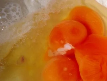 Ravioli mit Lachsforellen-Meerrettich-Füllung und Salbeibutter - Rezept - Bild Nr. 2