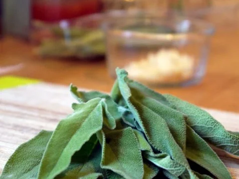 Ravioli mit Lachsforellen-Meerrettich-Füllung und Salbeibutter - Rezept - Bild Nr. 12