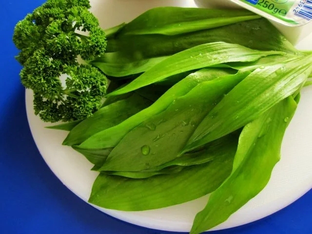 Bärlauch-Quark mit Pellkartoffeln ... - Rezept - Bild Nr. 3