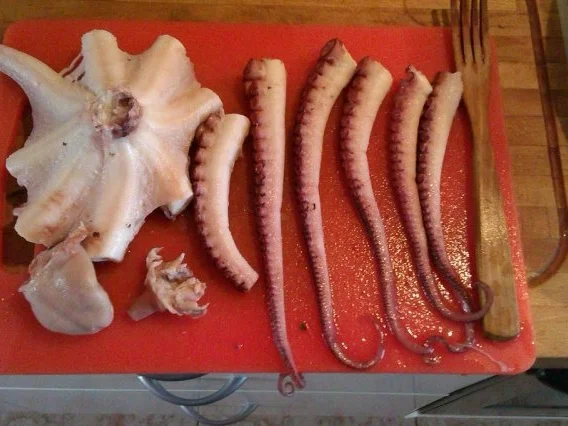 Rezept: Pulpo Salat Bild Nr. 3 Pulpo Salat - Rezept - Bild Nr. 3