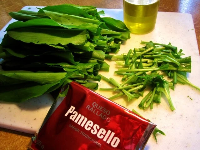 Rezept: Mein Bärlauchpesto Bild Nr. 4 Mein Bärlauchpesto - Rezept - Bild Nr. 4