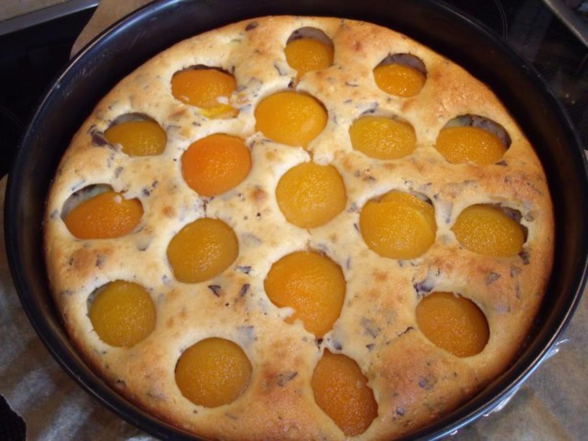 Aprikosen-Pudding-Ameisenkuchen - Rezept - Bild Nr. 2