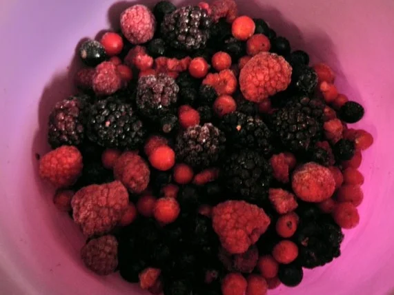 Mini - Beeren - Torte ... - Rezept - Bild Nr. 12