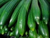 Rezept: Gurken- Bowle Gurken- Bowle - Rezept