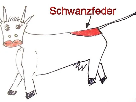 SAURES - STUECK - MIRZA - Rezept - Bild Nr. 2