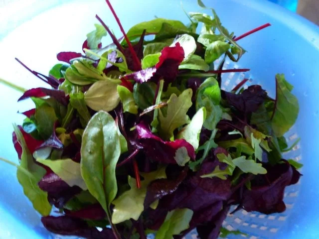 Rezept: Vegetarisches aus dem Wok Bild Nr. 5 Vegetarisches aus dem Wok - Rezept - Bild Nr. 5