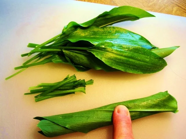 Großer Salat-Teller ... - Rezept - Bild Nr. 3