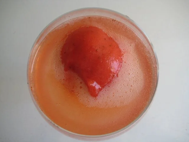 Erdbeer-Sorbet badet in Prosecco - Rezept - Bild Nr. 2