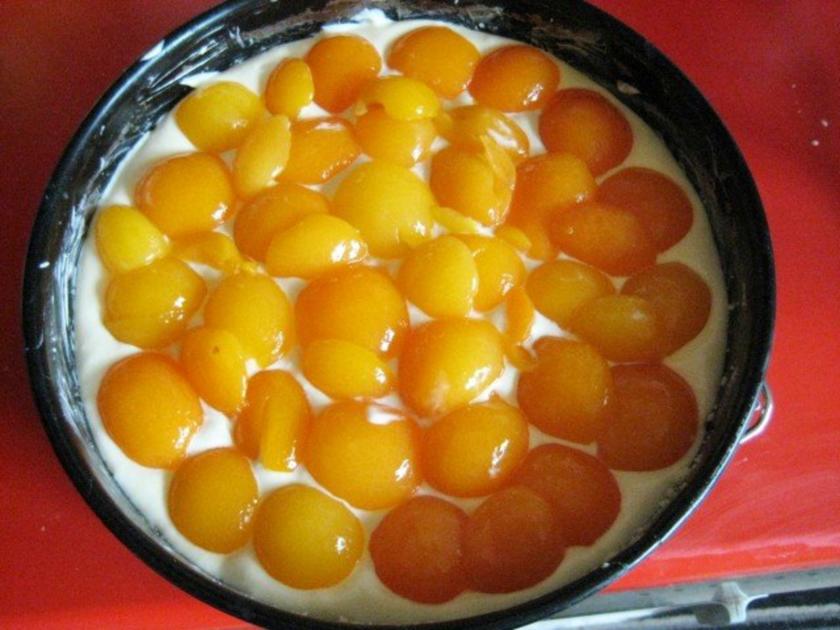Käsekuchen mit Aprikosen und Streusel - schnell &amp; einfach - von manschie