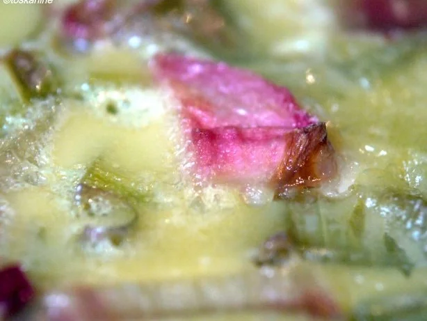 Rhabarber-Tarte - Rezept - Bild Nr. 12