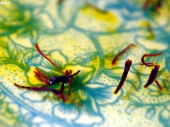 Rezept: Spanisches Mandelhuhn Bild Nr. 2 Spanisches Mandelhuhn - Rezept - Bild Nr. 2