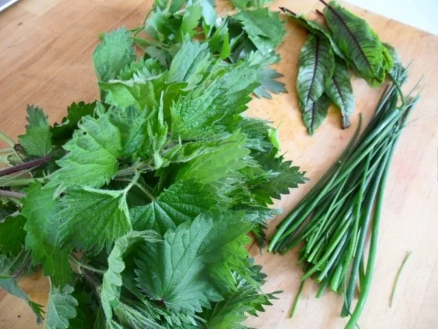 Kräutersuppe - wild und kultiviert - Rezept