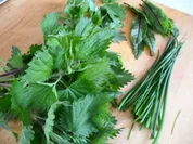 Kräutersuppe - wild und kultiviert - Rezept