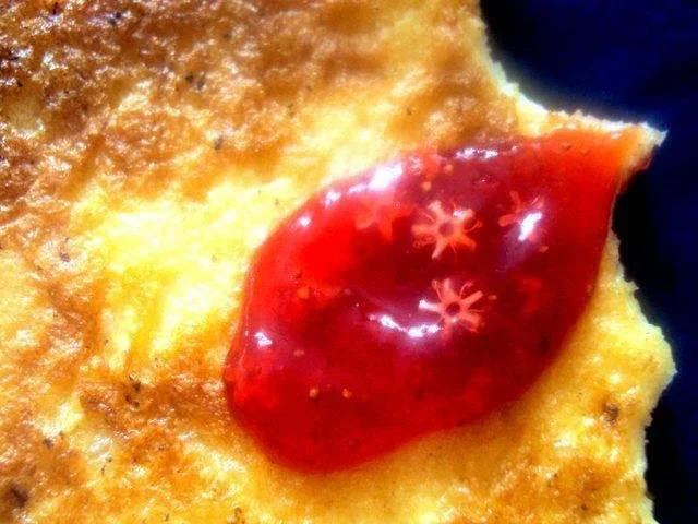 Rezept: Erdbeermarmelade mit Hollunderblüten Erdbeermarmelade mit Hollunderblüten - Rezept