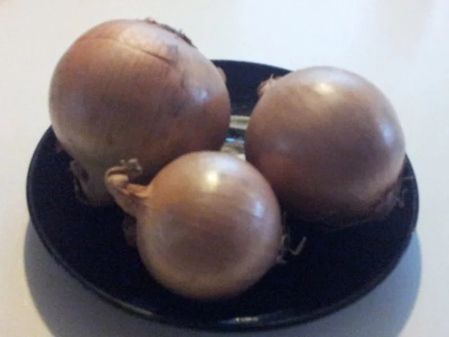 Fleisch-Spieße  * halbfett * schnell gegrillt - Rezept - Bild Nr. 12