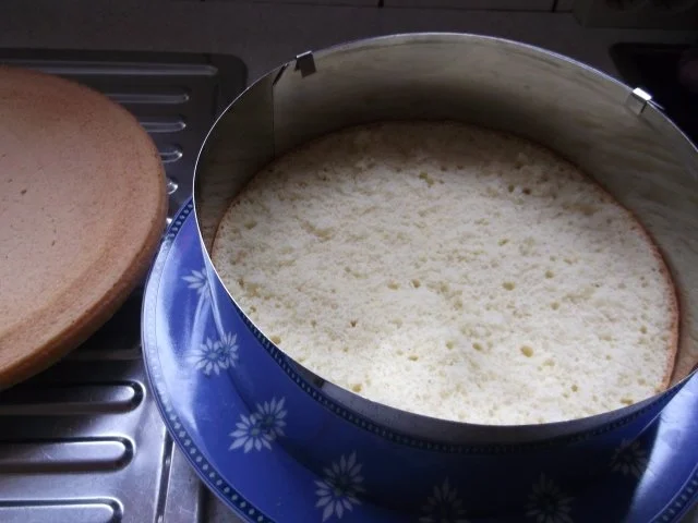 Himbeer-Heidelbeertorte - Rezept - Bild Nr. 3