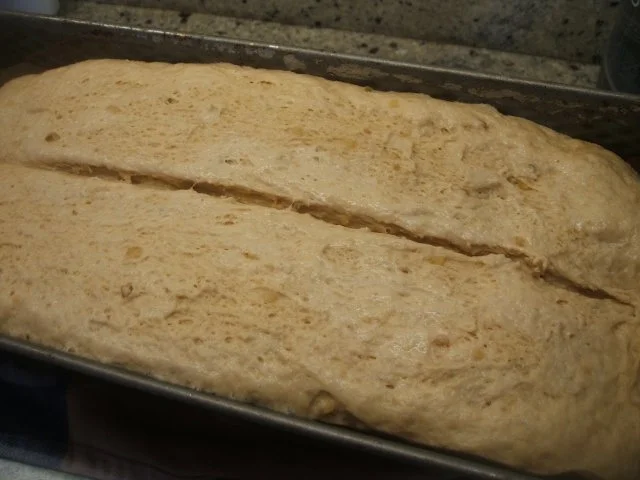 Rezept: Brot/Brötchen: Weißbrot mit Pinienkernen und Malzbier Bild Nr. 9 Brot/Brötchen: Weißbrot mit Pinienkernen und Malzbier - Rezept - Bild Nr. 9