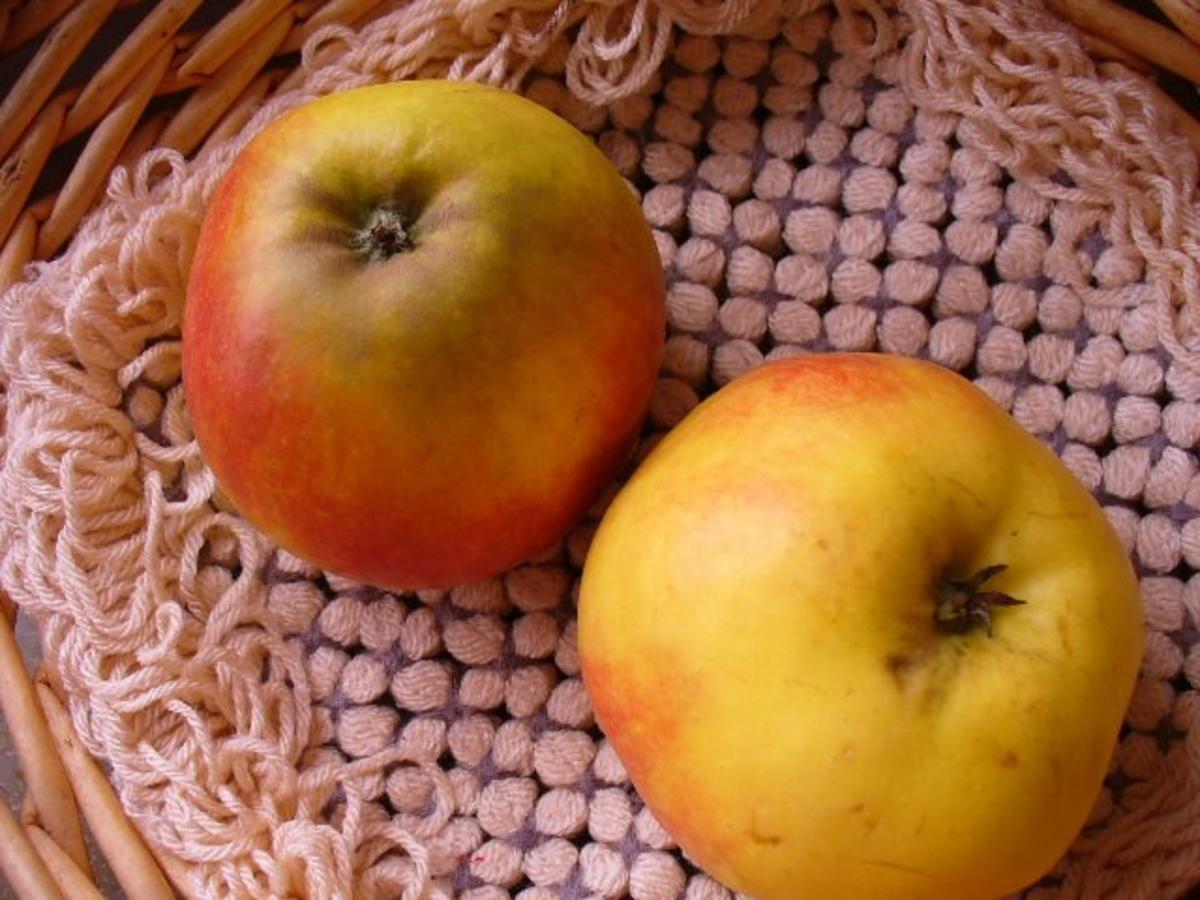 geriebener Apfel auf Vanillepudding - Rezept - Bild Nr. 3