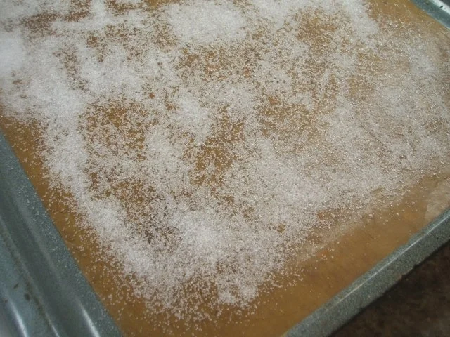 Rezept: Dessert: Rhabarber-Quark-Dessert mit marinierten Erdbeeren und Schokobiskuits Bild Nr. 10 Dessert: Rhabarber-Quark-Dessert mit marinierten Erdbeeren und Schokobiskuits - Rezept - Bild Nr. 10