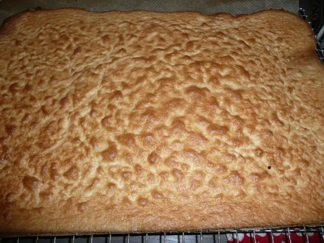 Geburtstagskuchen Stier - Rezept - Bild Nr. 2