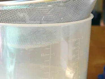 Zitrusfrüchte, Basilikumcreme, Amarettini - Rezept - Bild Nr. 7