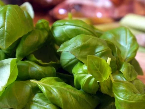 Zitrusfrüchte, Basilikumcreme, Amarettini - Rezept - Bild Nr. 2